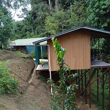 Cabanas Bajo Bosque Drake Drake Bay Exterior photo