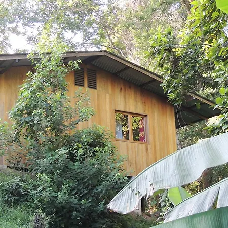 Cabanas Bajo Bosque Drake Drake Bay Exterior photo