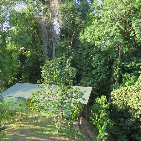 Cabanas Bajo Bosque Drake Drake Bay Exterior photo