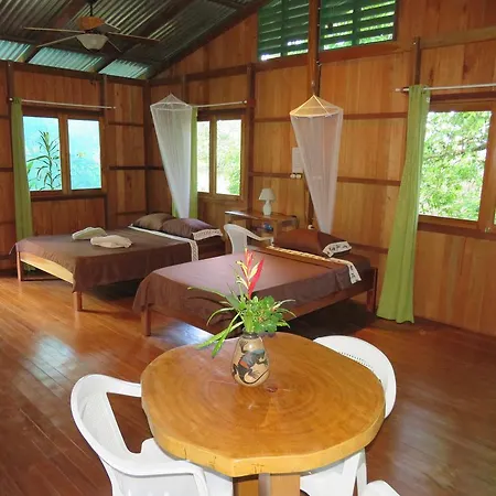 Cabanas Bajo Bosque Drake Drake Bay Exterior photo
