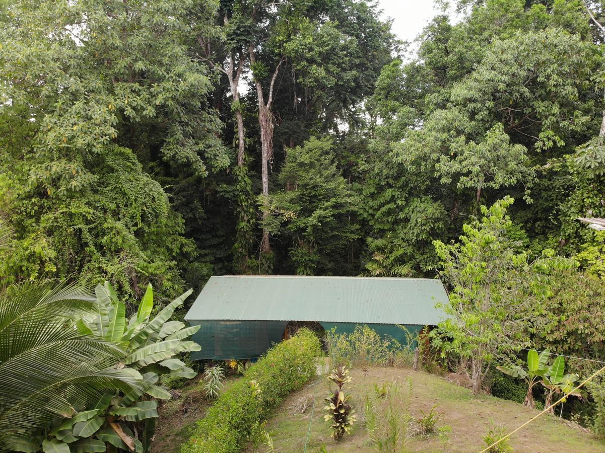 Bajo Bosque Drake Chalet
